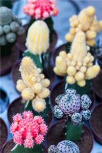 Pink, Yellow, and Green Mini Cacti Notebook