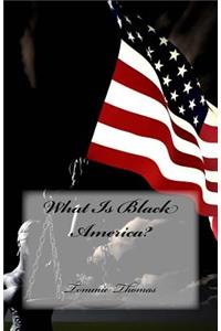 What Is Black America?