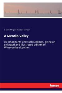 A Mendip Valley