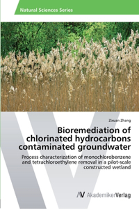 Bioremediation of chlorinated hydrocarbons contaminated groundwater