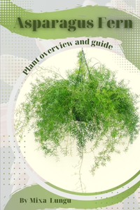 Asparagus Fern