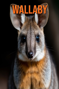 Wallaby
