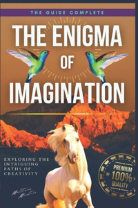 Enigma of Imagination