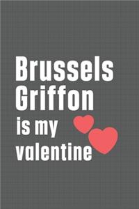 Brussels Griffon is my valentine