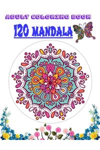 Adult Coloring Book 120 mandala
