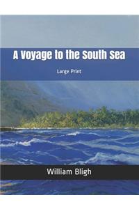A Voyage to the South Sea