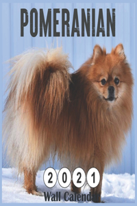 Pomeranian 2021 Wall Calendar