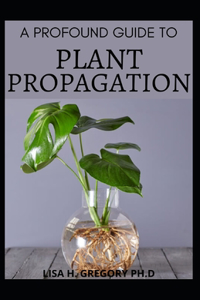 A Profound Guide to Plant Propagation