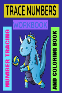 Trace Numbers Workbook