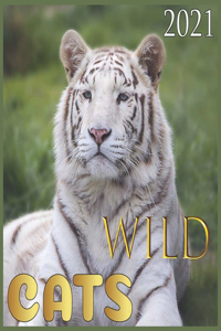 WILD Cats