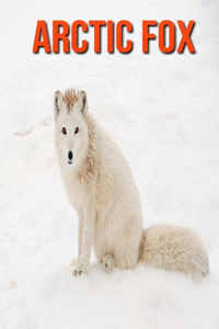 Arctic fox