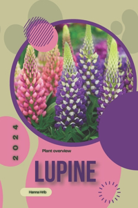 Lupine