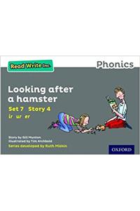 Read Write Inc. Phonics: Grey Set 7 Storybook 4 Looking After a Hamster