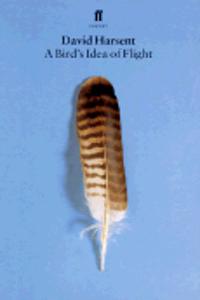 Bird's Idea of Flight