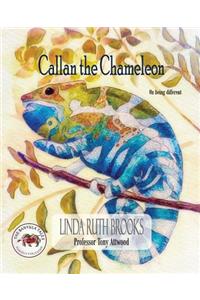Callan the Chameleon