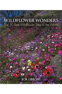 Wildflower Wonders