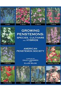 Growing Penstemons