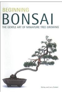 Beginning Bonsai
