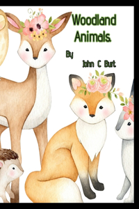 Woodland Animals.