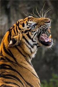 Roaring Tiger Portrait Journal