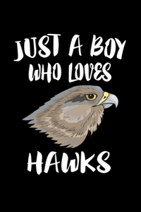 Just A Boy Who Loves Hawks