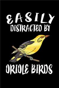 Easily Distracted By Oriole Birds