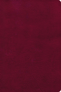 NASB Super Giant Print Reference Bible, Burgundy Leathertouch