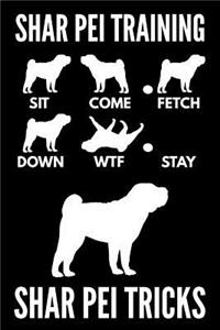 Shar Pei Training - Shar Pei Tricks