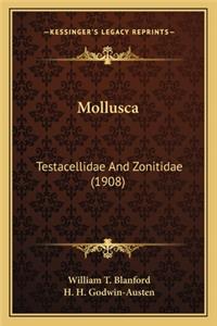 Mollusca