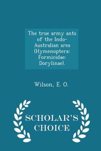 True Army Ants of the Indo-Australian Area (Hymenoptera