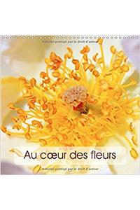 Au c/Ur des Fleurs 2017