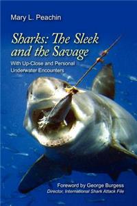 Sharks The Sleek and The Savage