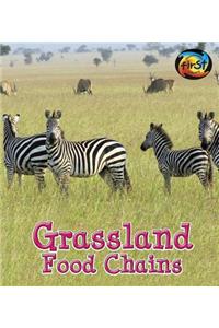 Grassland Food Chains