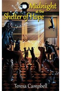 Midnight at the Shelter of Hope