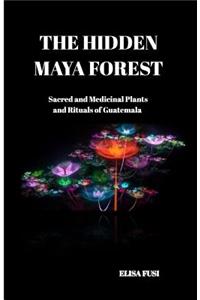 Hidden Maya Forest