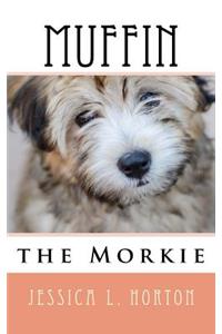 Muffin the Morkie