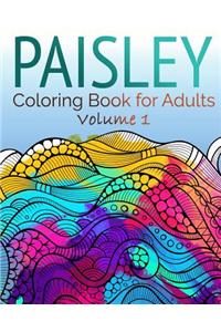 Paisley Coloring Book for Adults