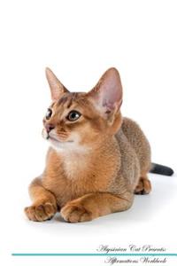 Abyssinian Cat Affirmations Workbook Abyssinian Cat Presents