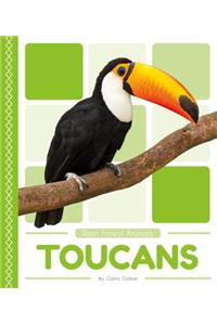 Toucans