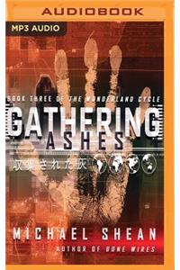 Gathering Ashes
