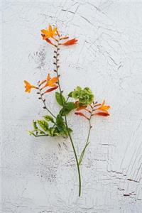 Crocosmia Blossoms Journal