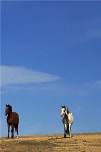 Journal Horses Sky Equine