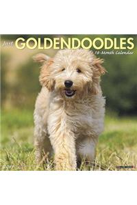 Just Goldendoodles 2019 Wall Calendar (Dog Breed Calendar)