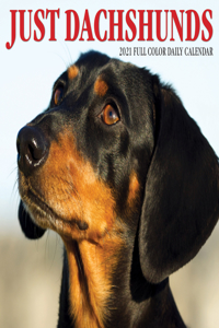 Just Dachshunds 2021 Box Calendar (Dog Breed Calendar)