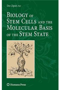 Biology of Stem Cells and the Molecular Basis of the Stem State