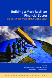 Building a More Resilient Financial Sector