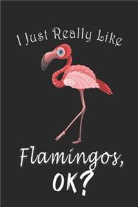 I Just Really like Flamingos, OK ? Journal