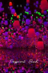 Passwort Buch
