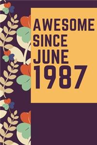 Awesome Since July 1987 Notebook Birthday Gift