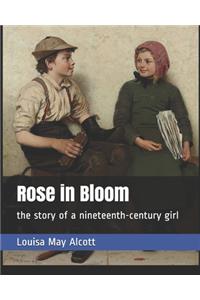 Rose in Bloom